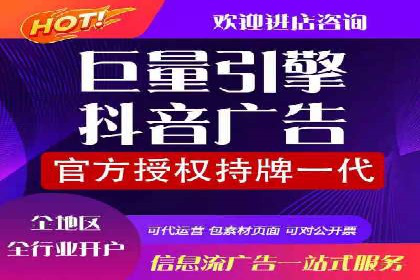 SEM代运营公司案例分析报告